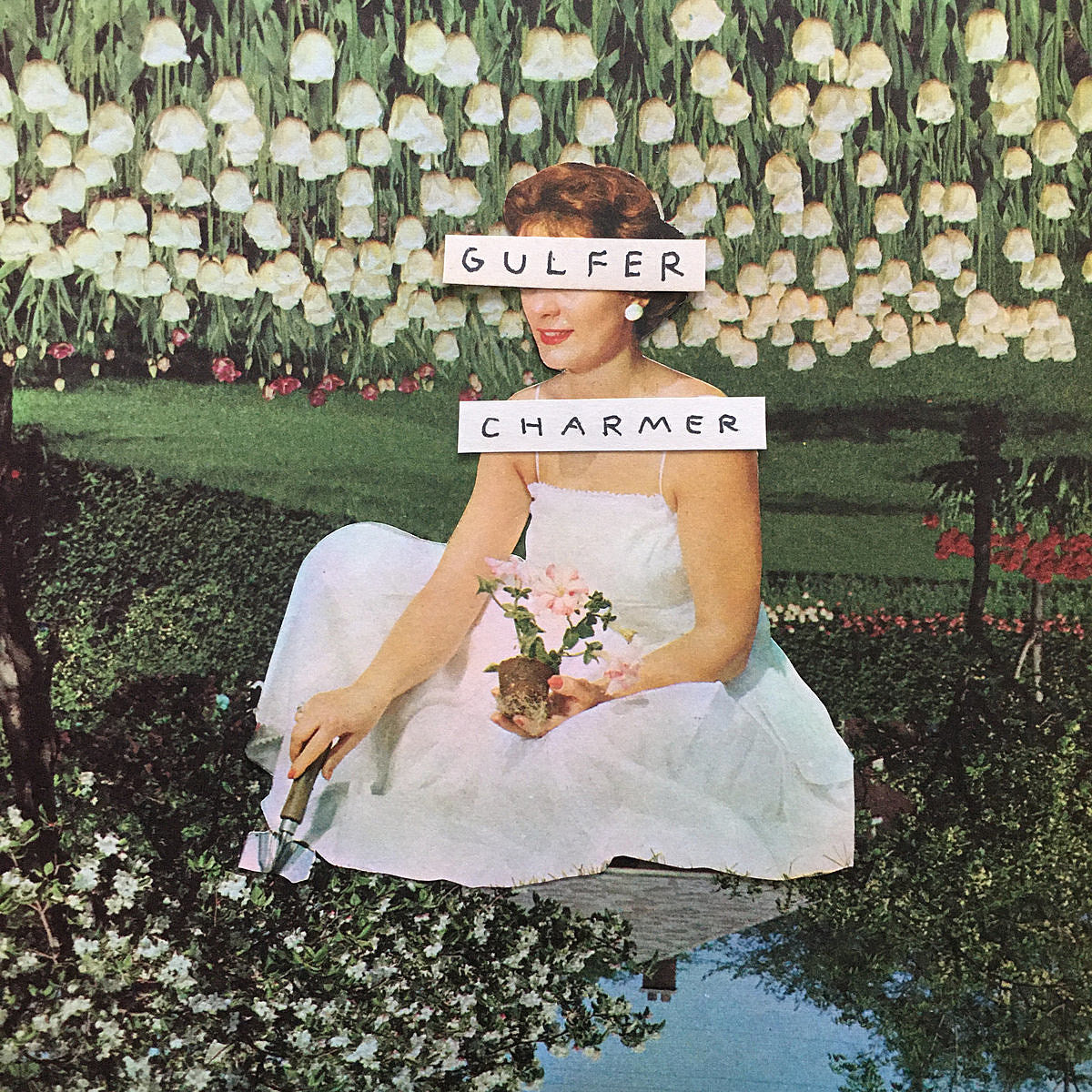 Stream Gulfer and Charmer’s new split