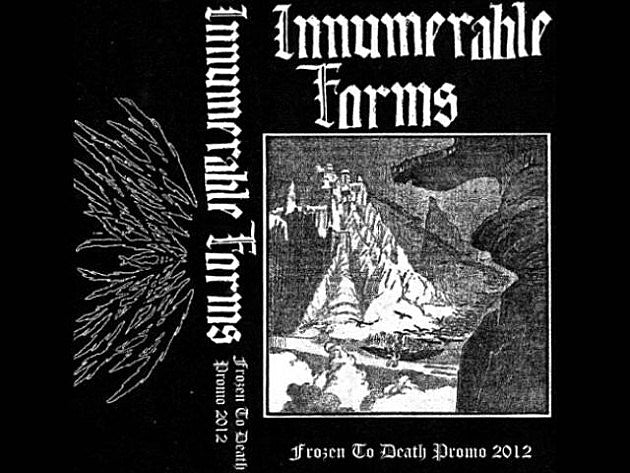 Innumerable Forms playing The Well