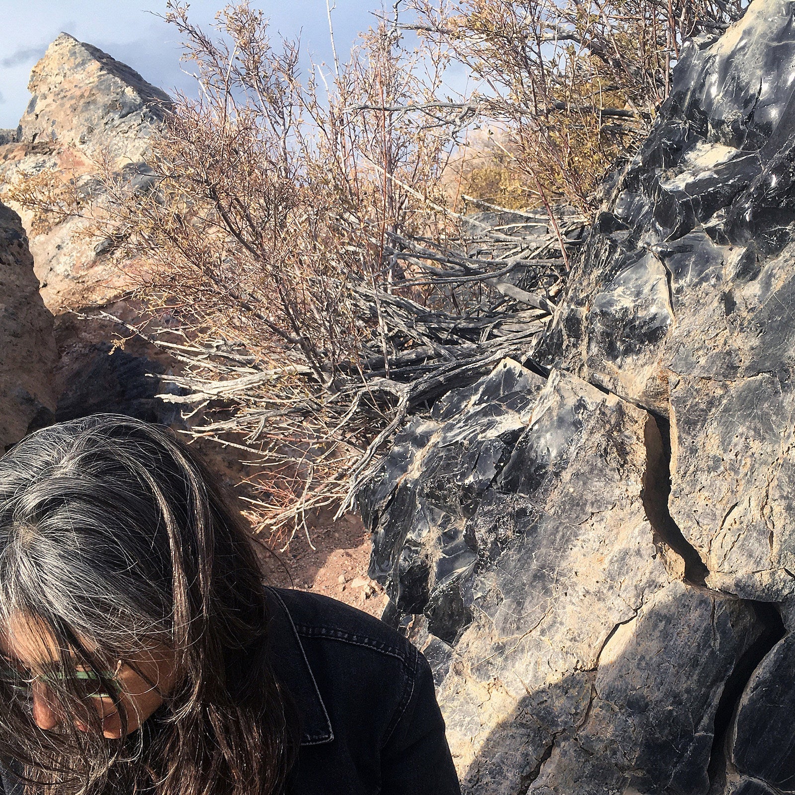 Listen to Julia Holter’s awesome cover of Fleetwood Mac’s “Gold Dust Woman”