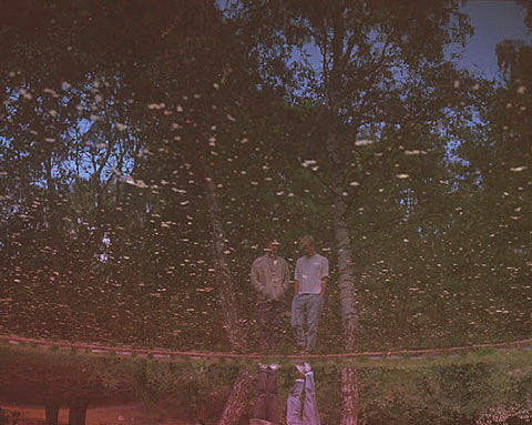 Korallreven released new single, breaking up after NYC & Sweden shows this fall; Yumi Zouma reissuing EPs on one LP