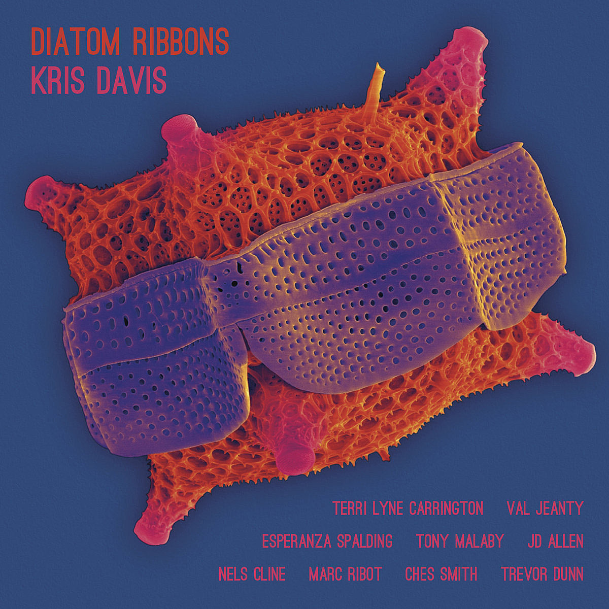 Kris Davis released LP ft. Nels Cline, Marc Ribot, Esperanza Spalding; playing shows