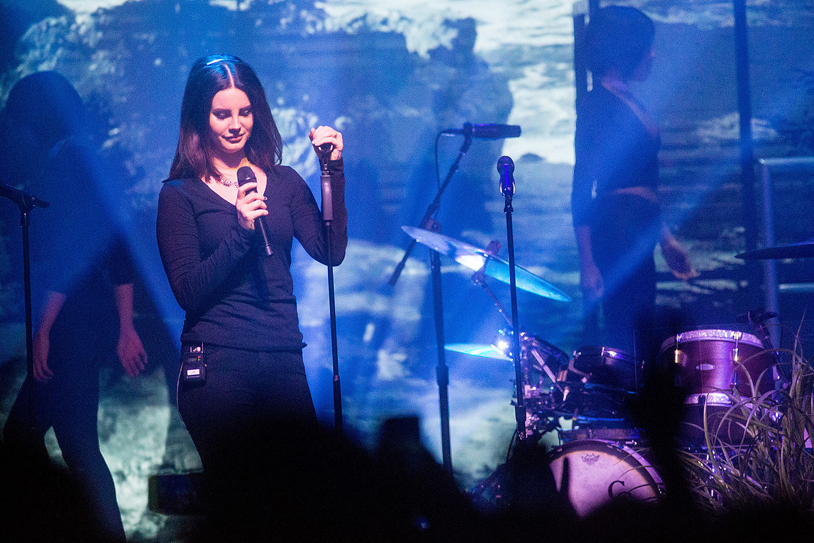 Lana Del Rey postpones Israel performance