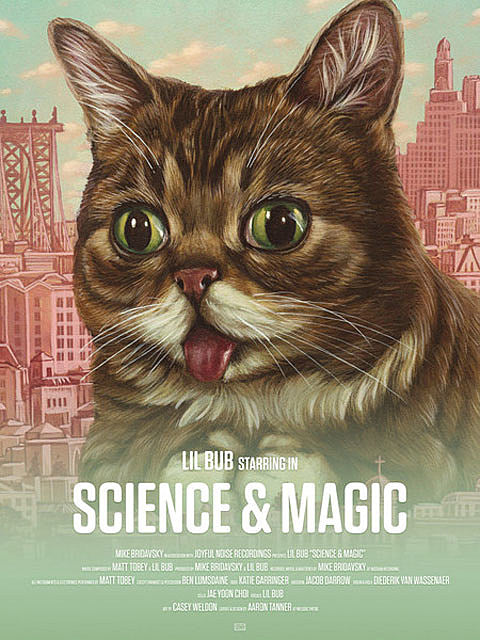 Lil BUB releasing an album, ‘Science & Magic: A Soundtrack to the Universe’ (watch the trailer)