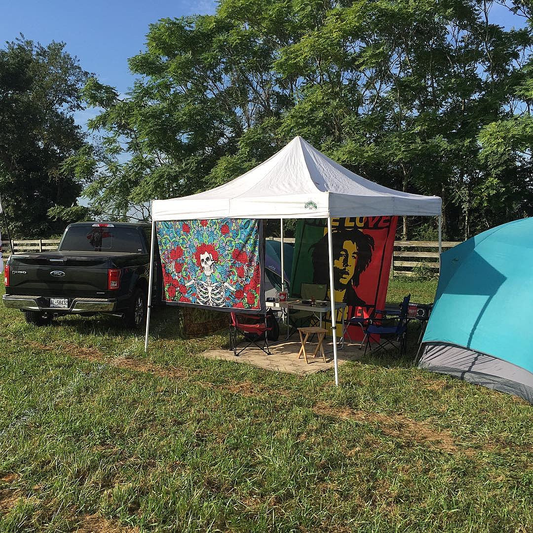 stream Lockn’ Fest live (with Phil Lesh, Phish, Ween, MMJ & more)