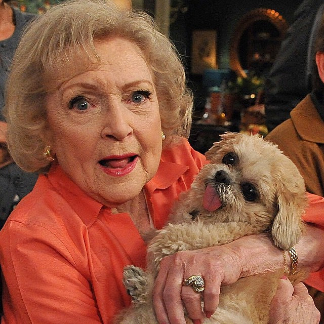 Marnie the Dog, RIP