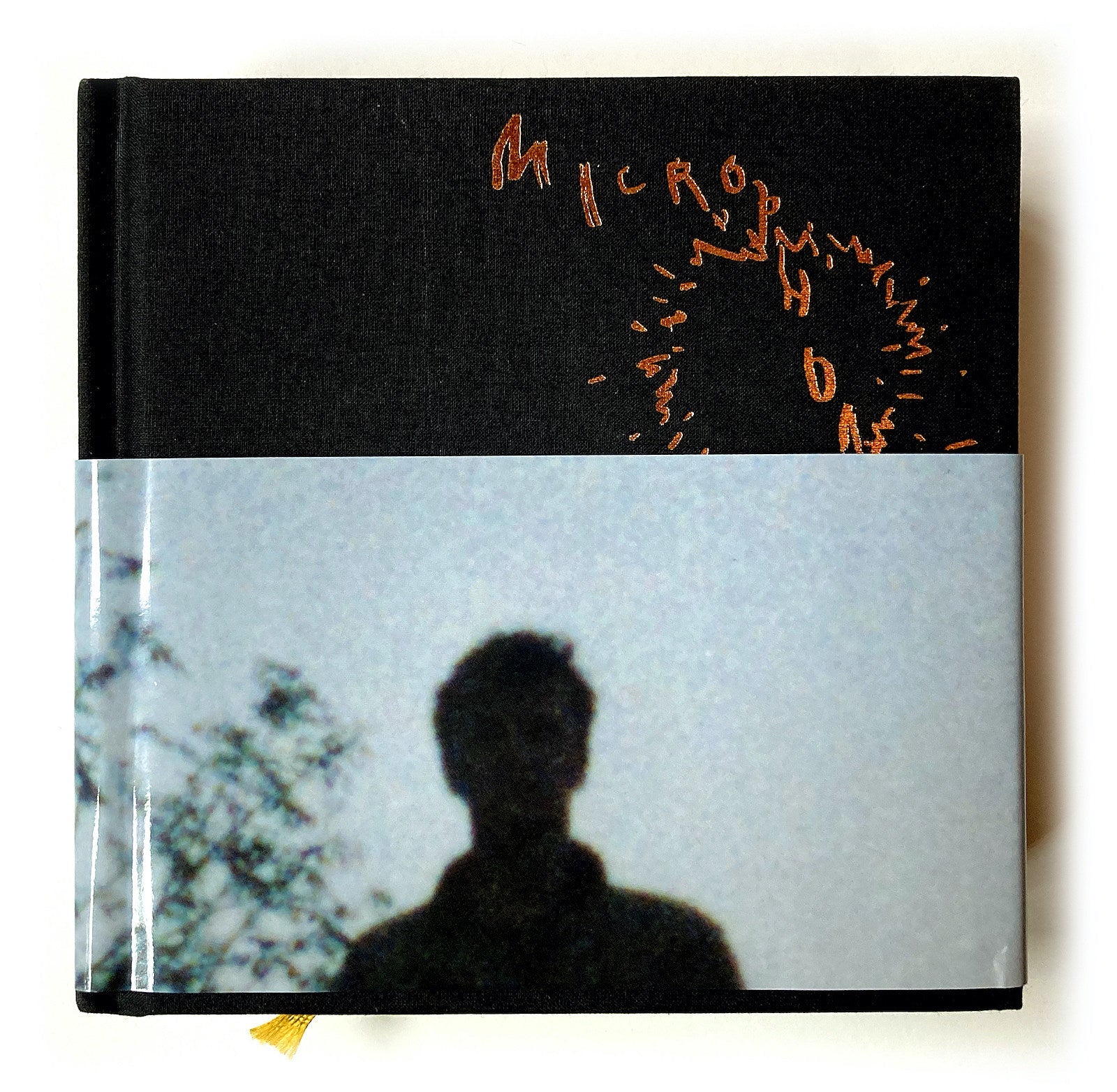 The Microphones releasing photobook version of new album/film