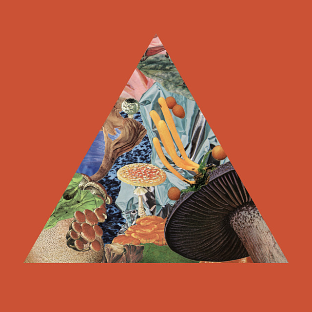 24 New Songs Out Today