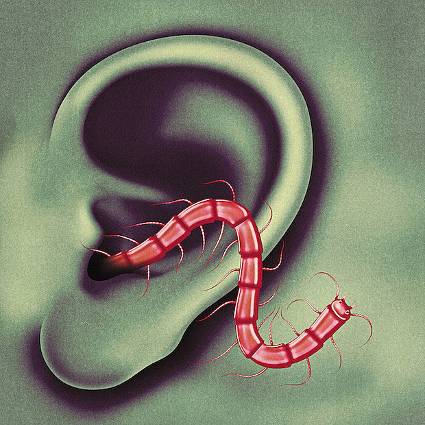 stream Thee Oh Sees’ new LP ‘An Odd Entrances’