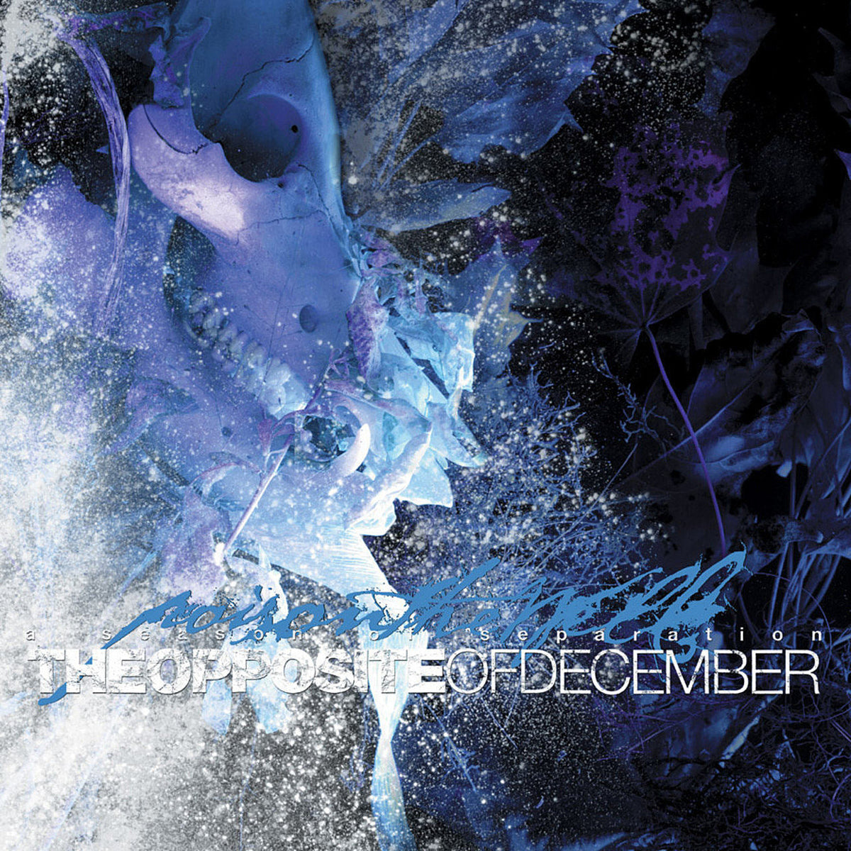 Poison the Well celebrating ‘The Opposite of December’ 20th anniversary at first show since 2016