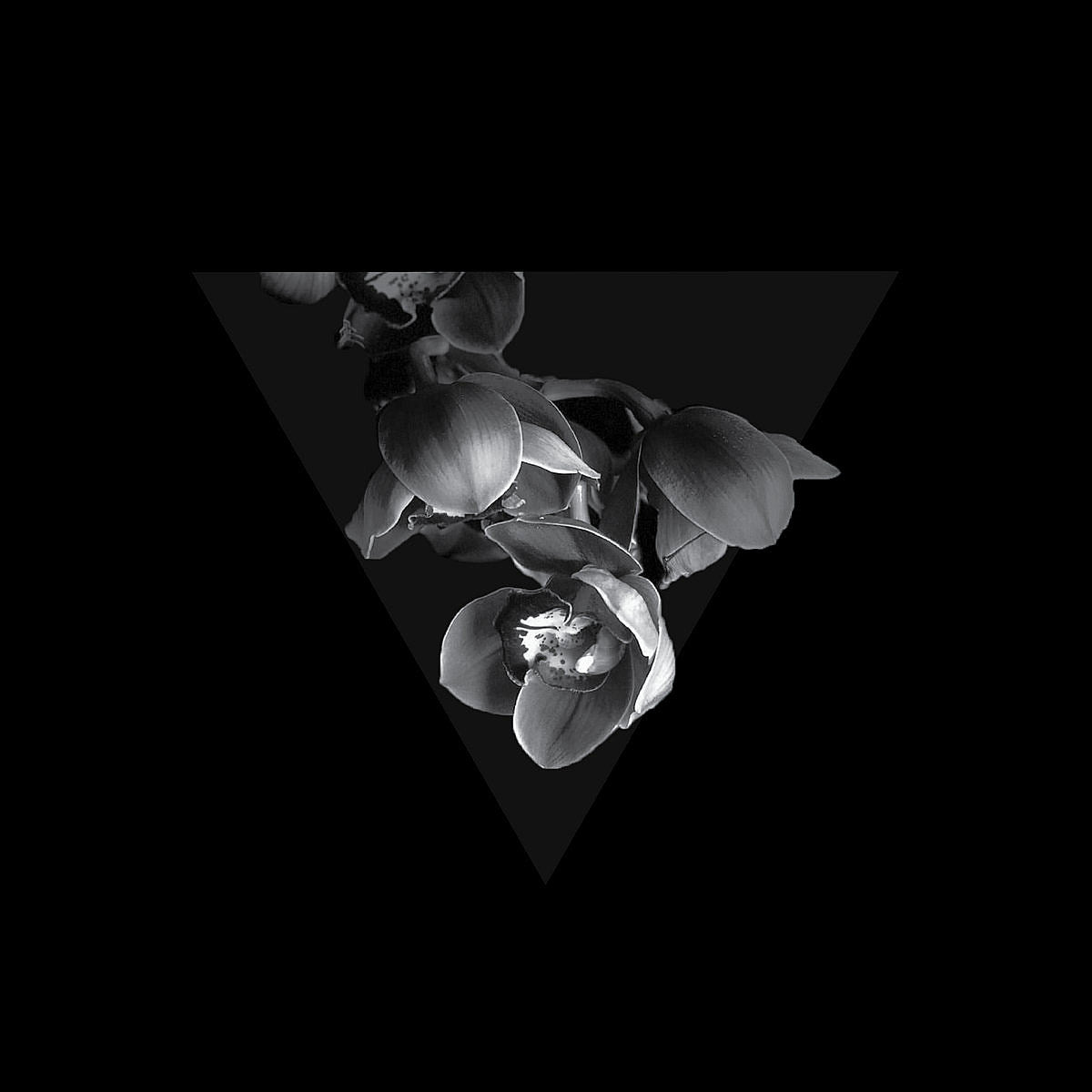 Quattracenta releasing new J Robbins-produced LP on Bob Nastanovich’s (Pavement) label