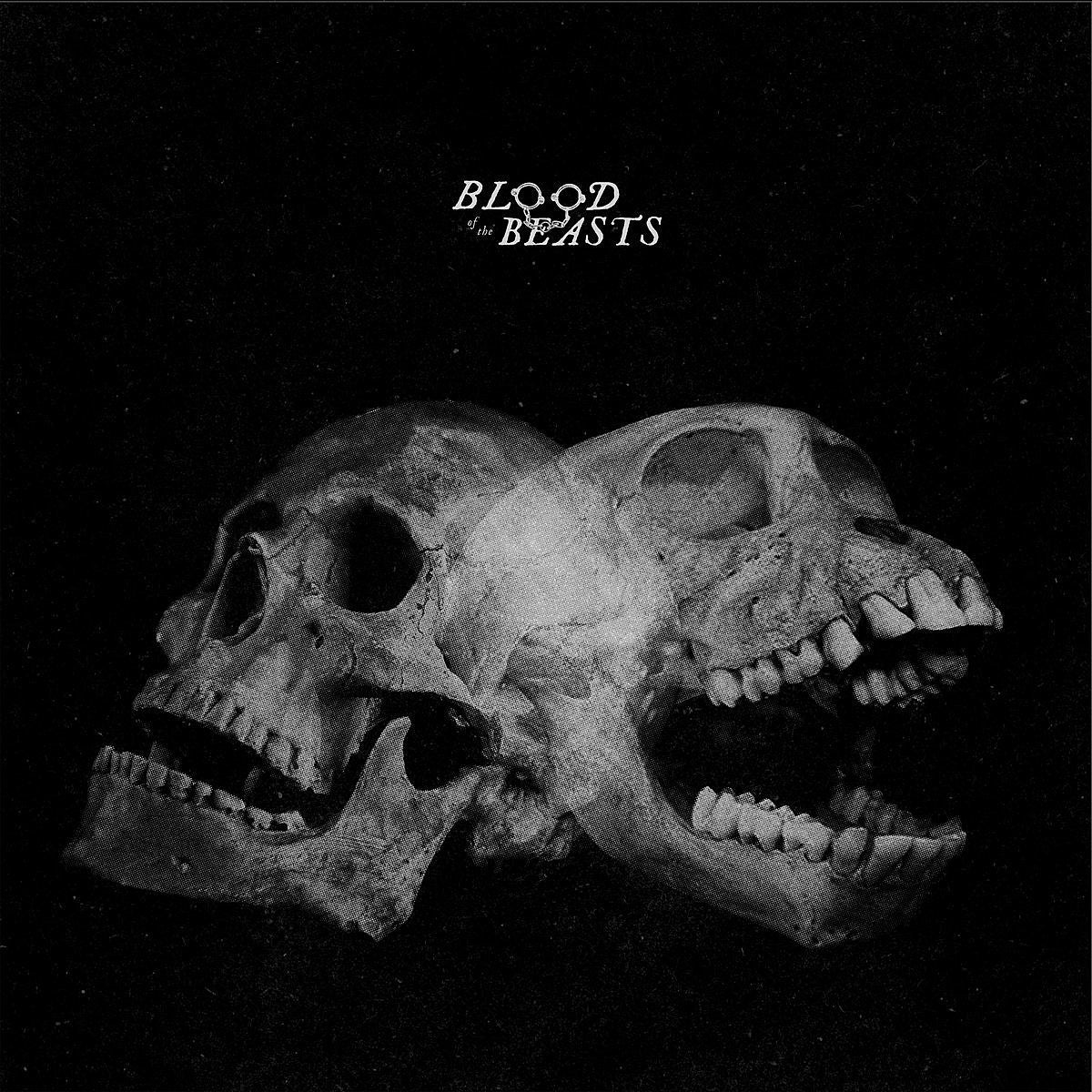 SECT (Cursed, Earth Crisis, etc) surprise release new LP & video, playing shows