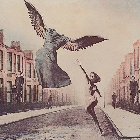 Shana Falana — CMJ schedule & album stream (listen)