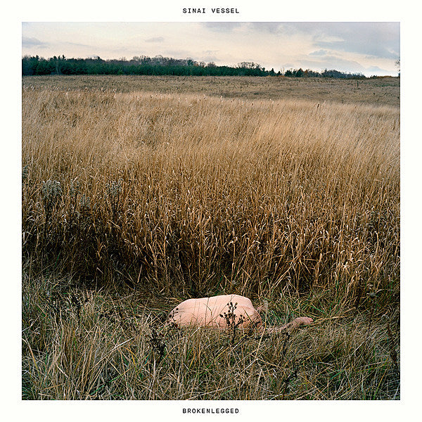 Sinai Vessel releasing debut album on Tiny Engines (stream “Looseleaf”)