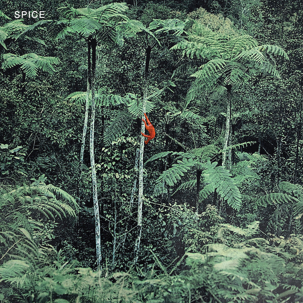 Ceremony members form Spice, share song off debut LP