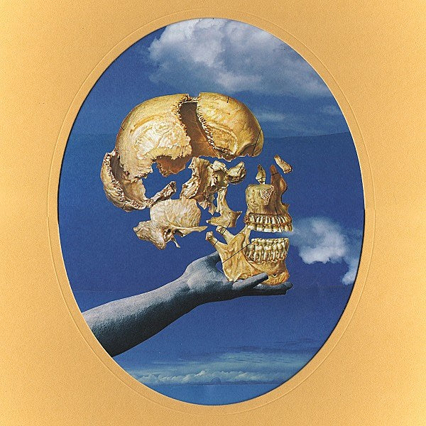 Portland, OR’s Sun Angle releasing ‘Skullflower’ (stream “American Beauty”)