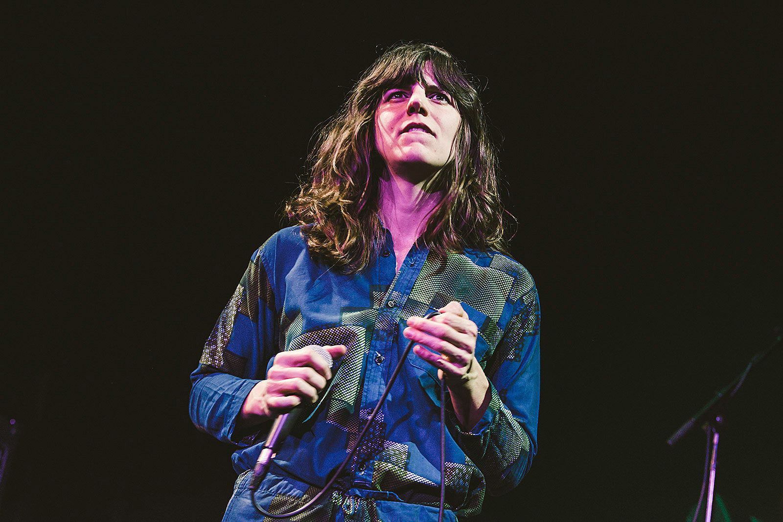Eleanor Friedberger, Robyn Hitchcock & more playing intimate “Voices on the Hudson” series