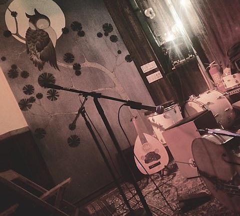 new Brooklyn venue The Owl opened by Elysian Fields members in Prospect-Lefferts Gardens
