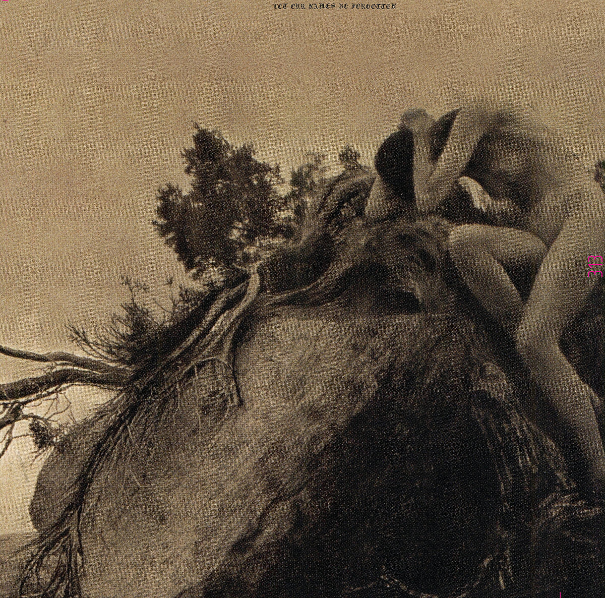 Thou release split with Ragana, touring with MJ Guider & others
