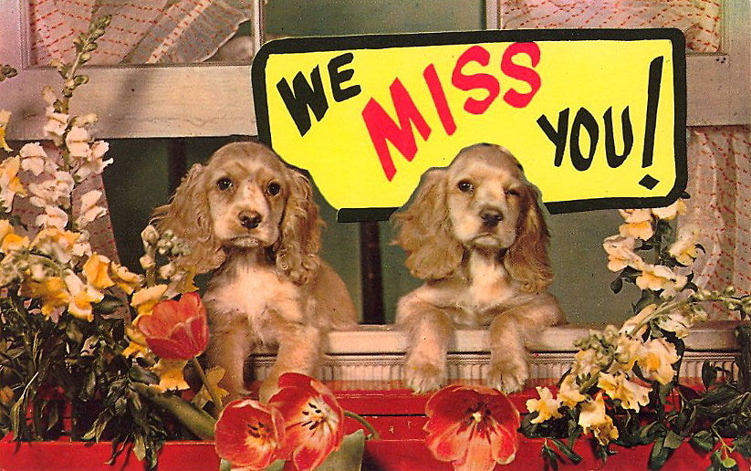 tix on sale: Pixies, Handsome Furs, 2 Dope Queens, Duster, E.Town, Noname, more