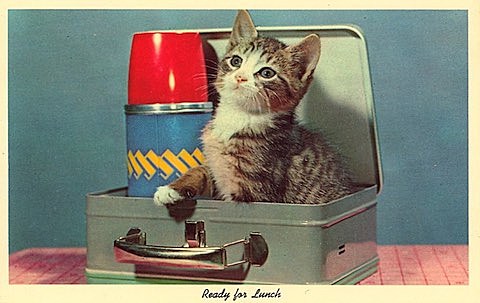 tix on sale: Ellie Goulding, Noel Fielding, Frank Turner, Infest, A Tribe Called Quest, Autre Ne Veut, Perfect Pussy, more
