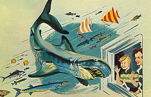 tix on sale: Pixies, Ash, Palma Violets, Shabazz Palaces, The Do, Bully, Woods, Lucius, Active Child, Lenny Kravitz, more