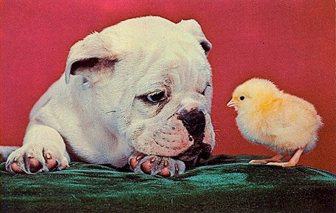 tix on sale: Jill Scott, Saint Etienne, Mary Timony, Rodrigo y Gabriela, Maxwell, & more