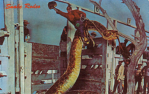 tix on sale: Coachella 2016, Pusha T, Steely Dan, The Sadies, The Very Best, Left Brain, Ricky Eat Acid, Mykki Blanco, more