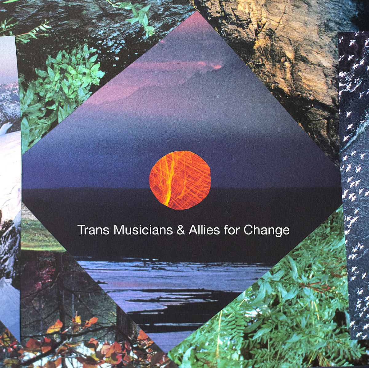 Trans Lifeline benefit comp out now ft. Teenage Halloween (Breeders cover), Hit Like A Girl & more