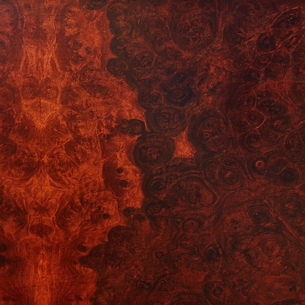 True Widow releasing ‘Avvolgere,’ share new song, announce tour dates