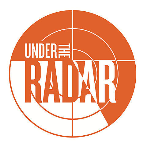2015 Under the Radar Festival schedule: Reggie Watts, Toshi Reagon and lots more