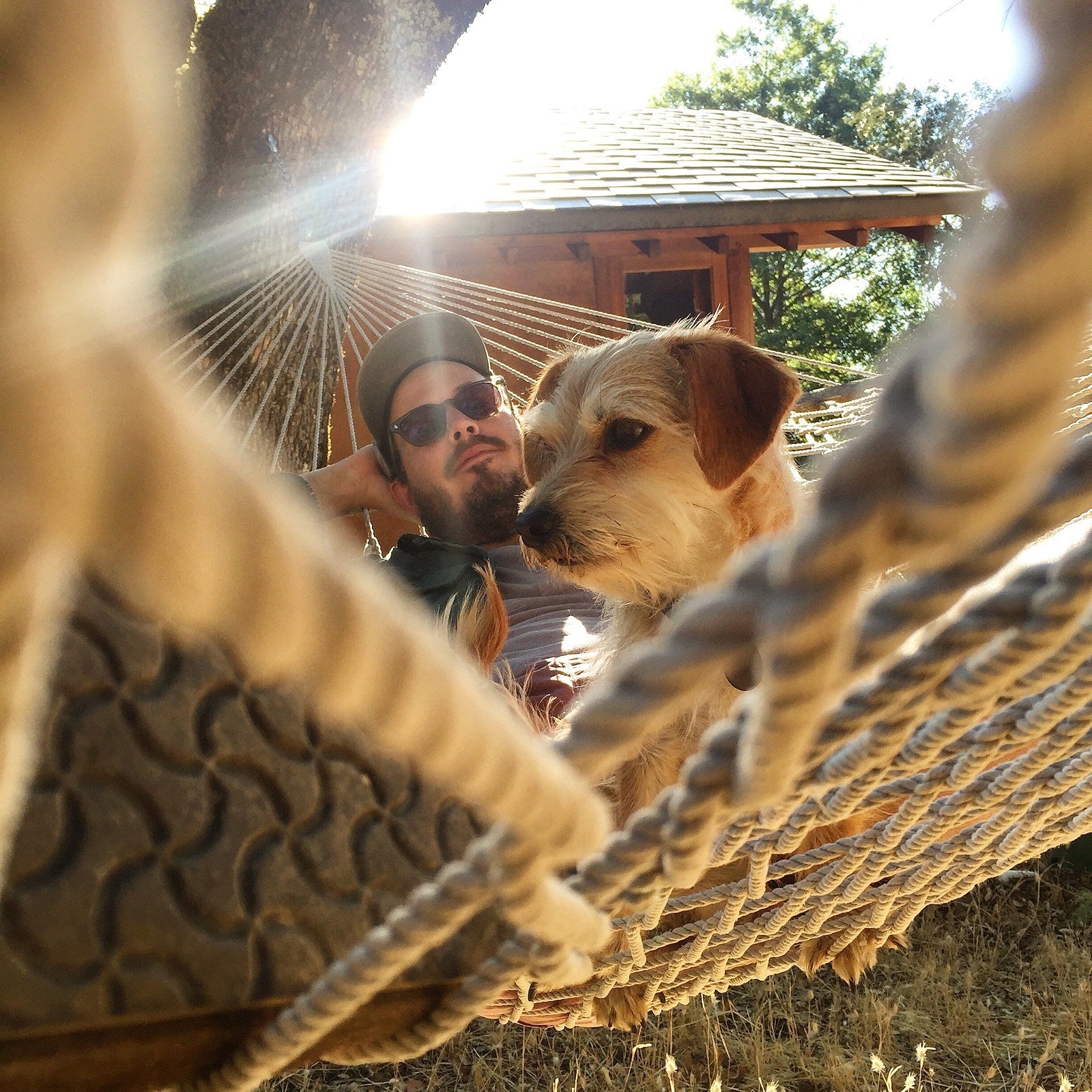 Vetiver going on spring tour