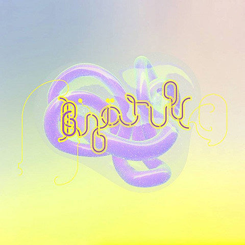 Bjork tickets to her 6 NYC shows on presale today (password)