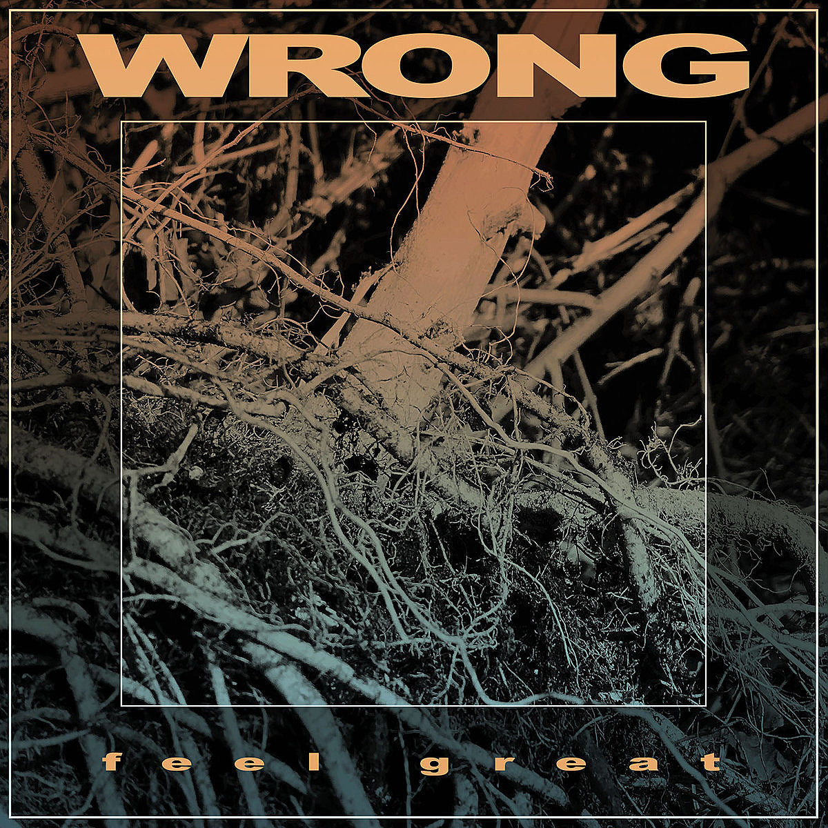 stream Wrong’s new album ‘Feel Great’ and watch the “Pustule” video