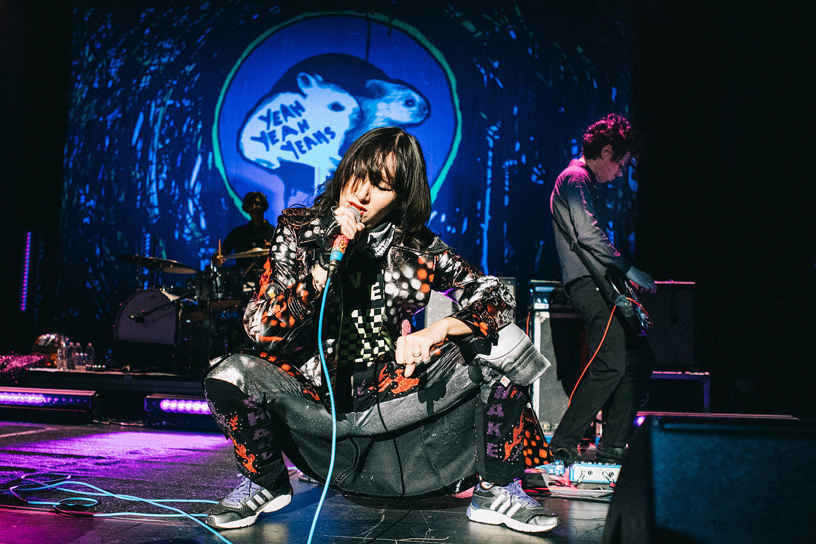 Yeah Yeah Yeahs screening new documentary at Videology