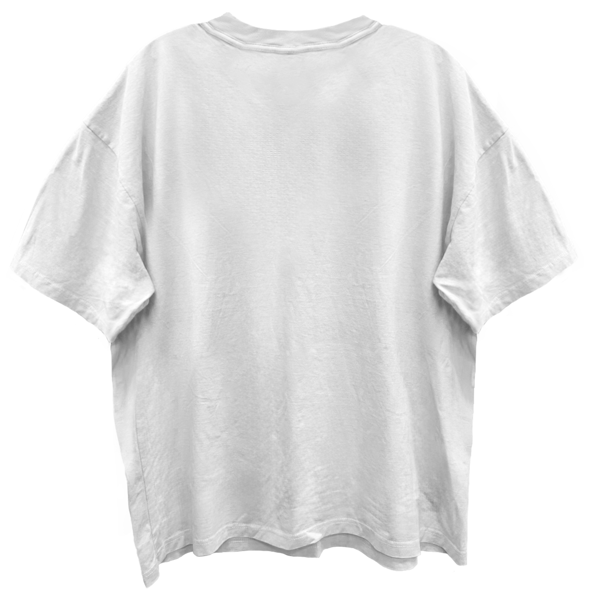 DEF LEPPARD BRITISH FLAG LOGO BLANC WHITE ENZYME WASH T-SHIRT/GIANT VINTAGE