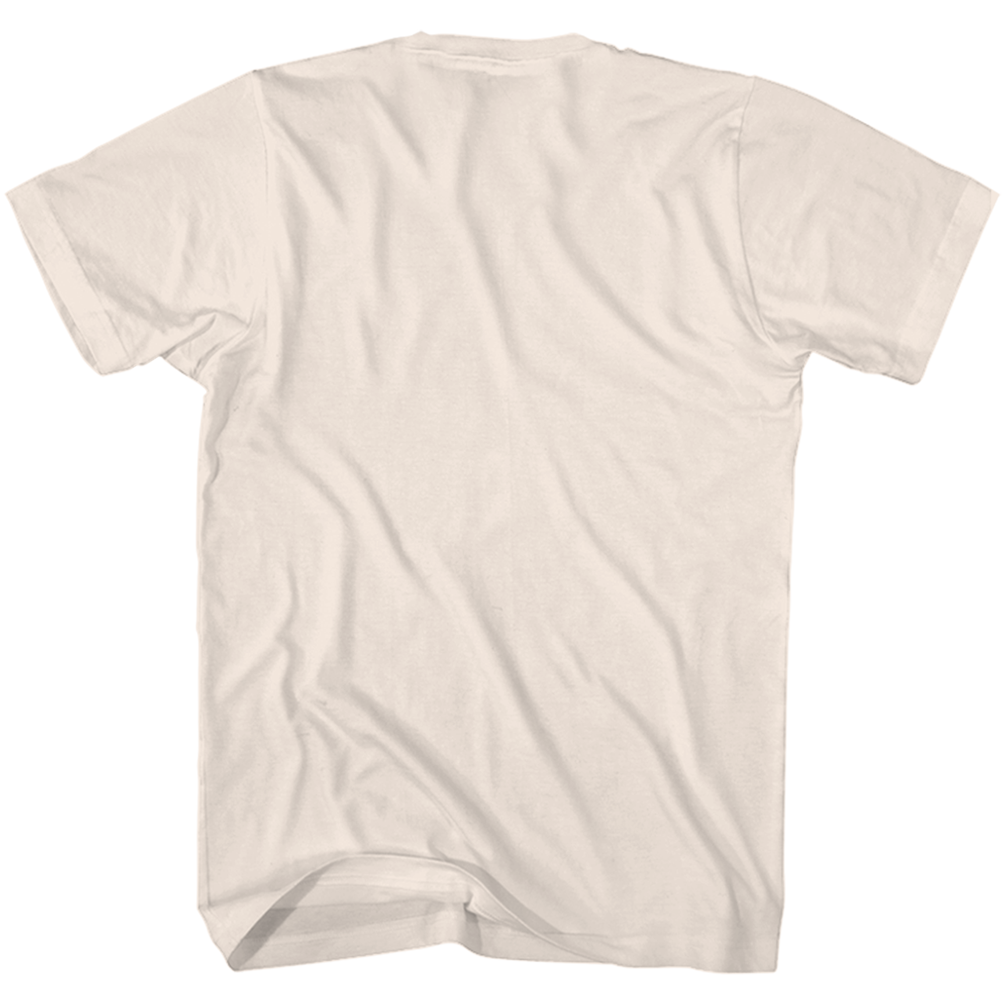 OLIVIA RODRIGO TAN TOUR COLLAGE T-SHIRT