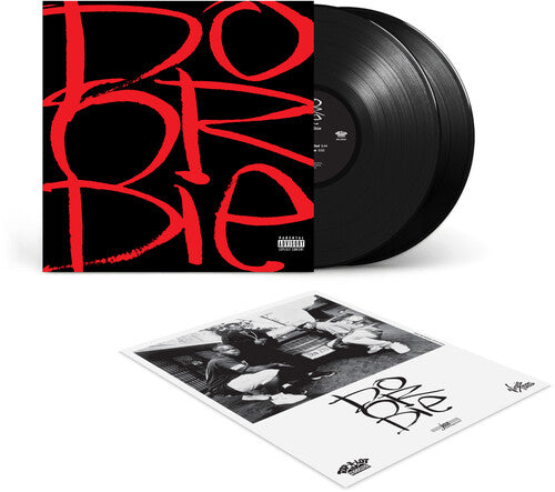 DO OR DIE 'PICTURE THIS' 2LP (30th Anniversary Edition)