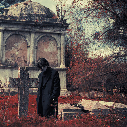 STEVEN WILSON 'REQUIEM FOR A VILLAGE' 2LP