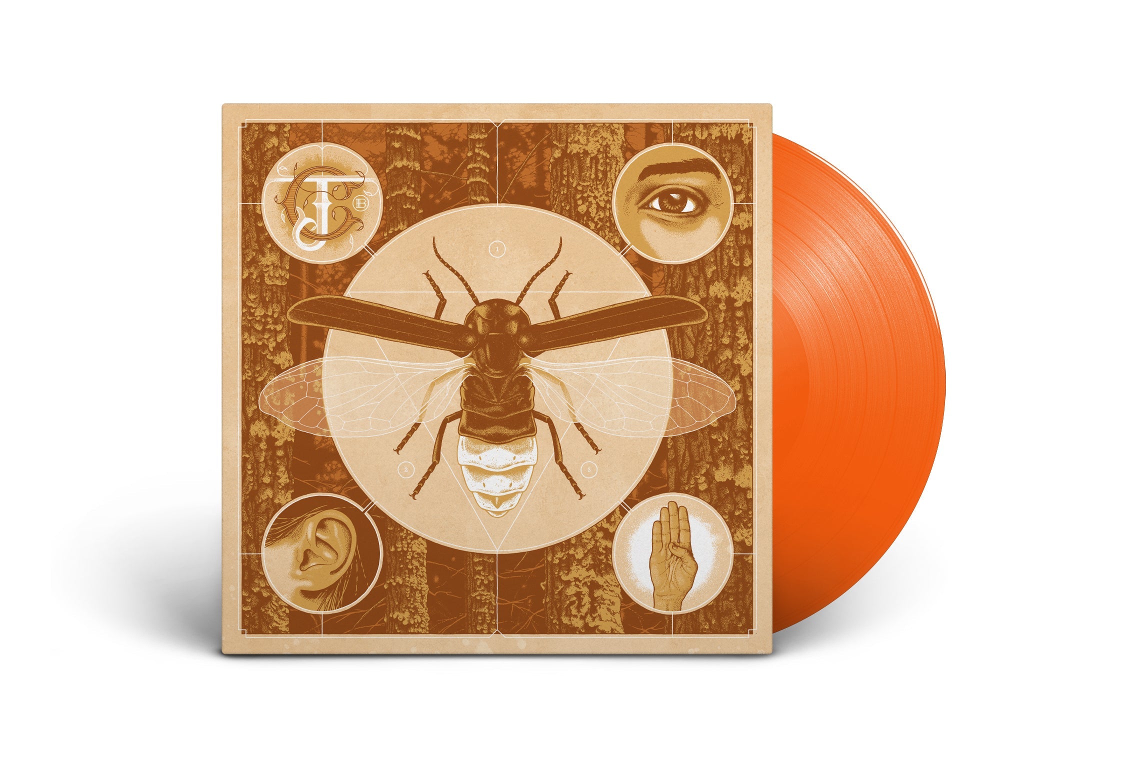 JERRY CANTRELL ‘BRIGHTEN’ HALLOWEEN ORANGE VINYL — ONLY 500 MADE