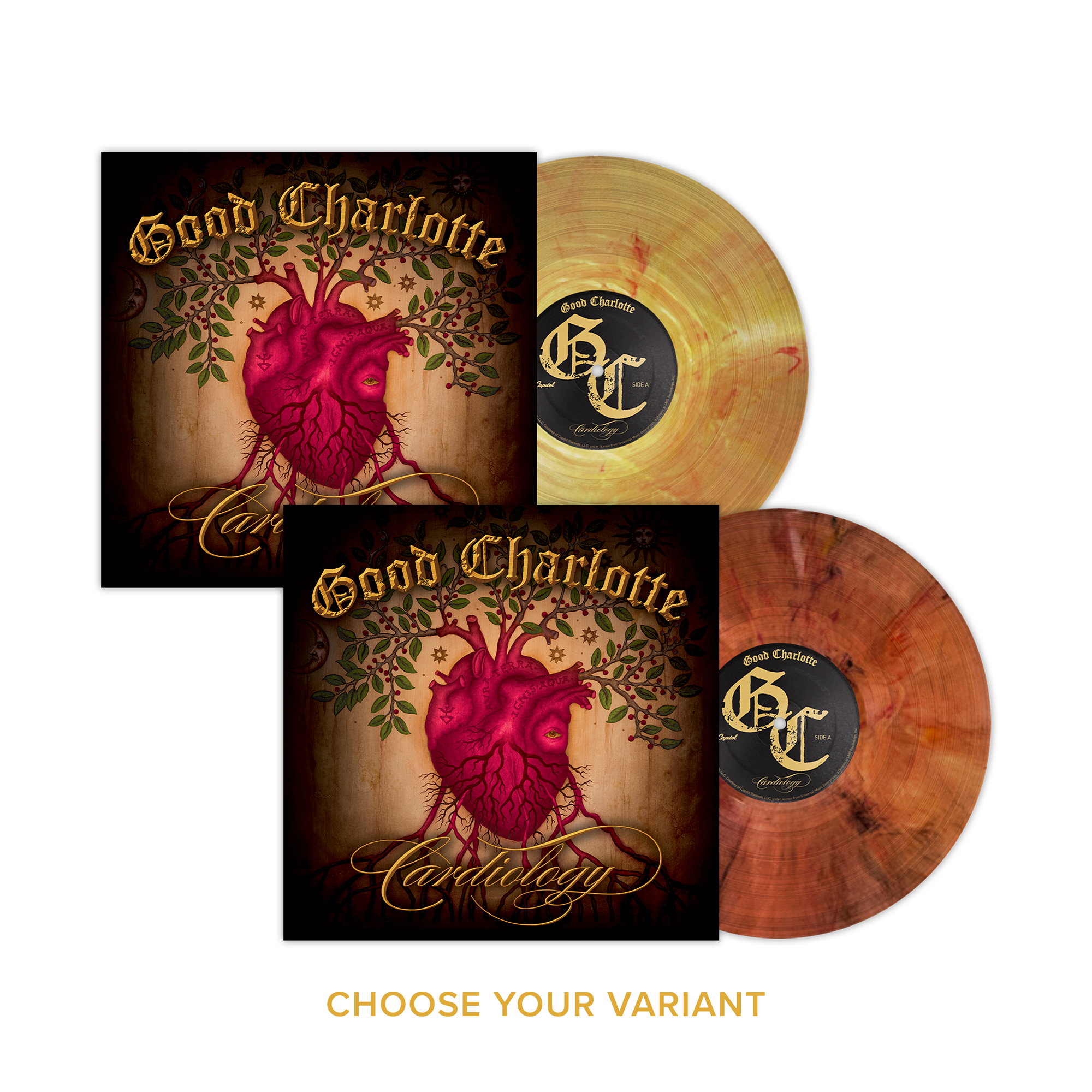 GOOD CHARLOTTE 'CARDIOLOGY' LP (Exclusive – Various Color Vinyl)