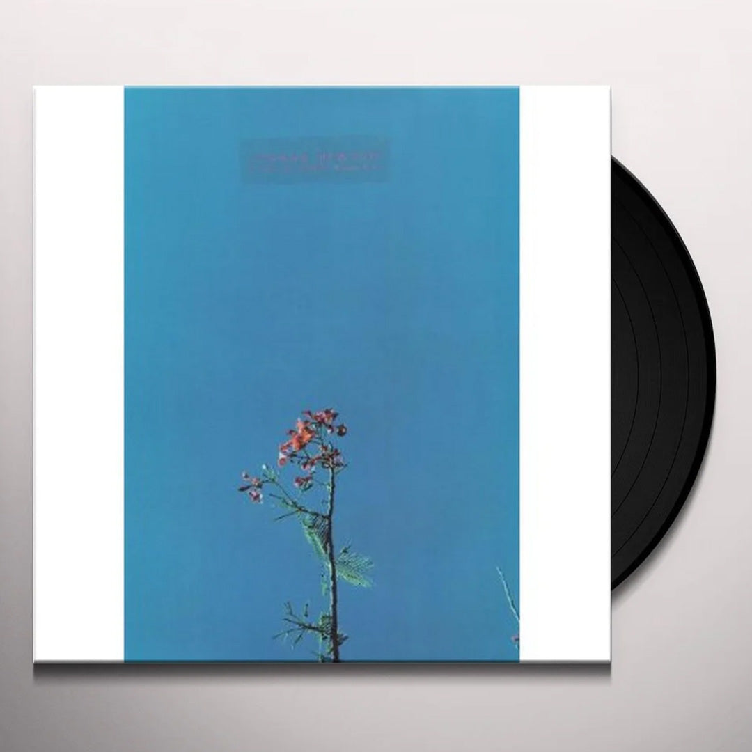 Joanna Newsom & The Ys Street Band EP Vinyl