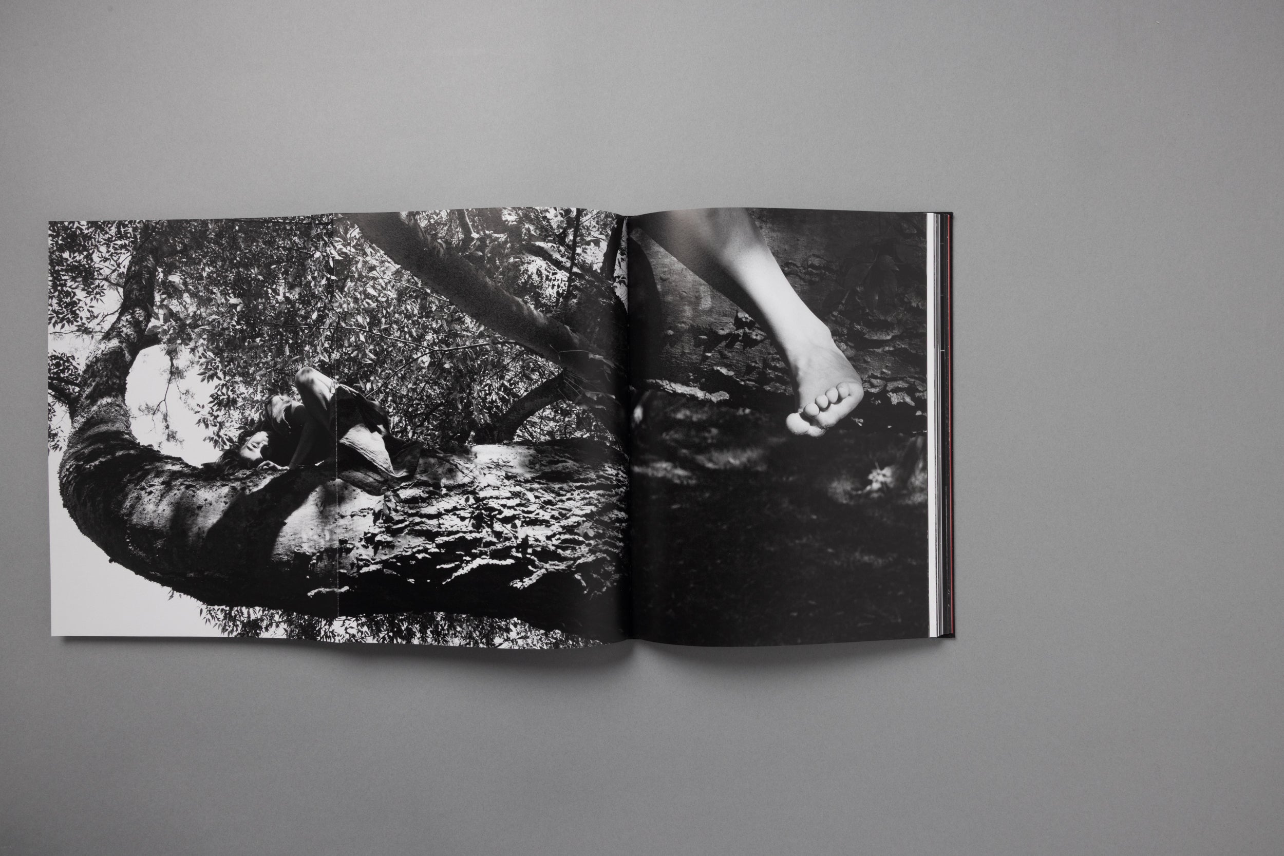 MITSKI PHOTO BOOK: KING OF ALL THE LAND, BY EBRU YILDIZ