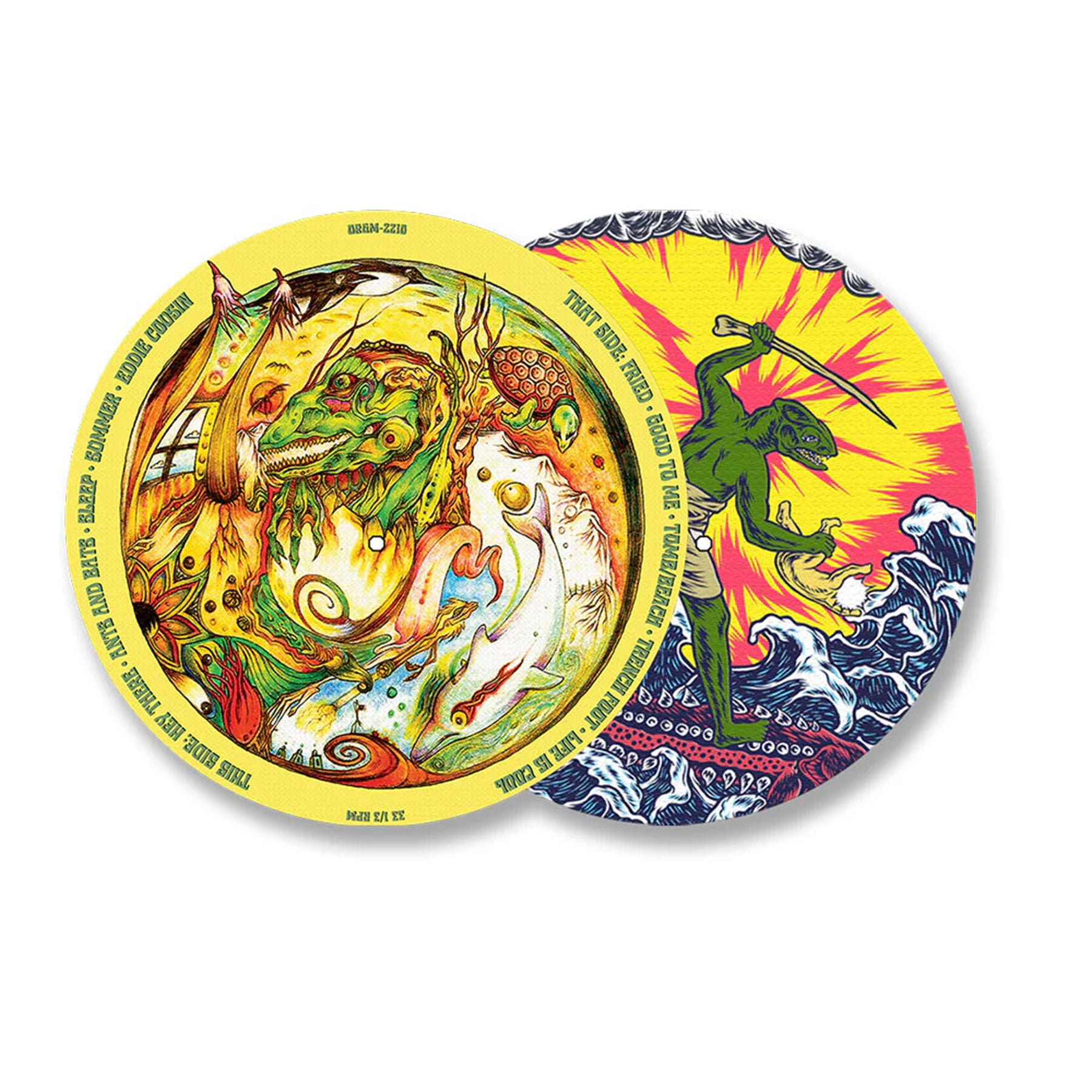 King Gizzard & The Lizard Wizard Teenage Gizzard Picture Disc Vinyl