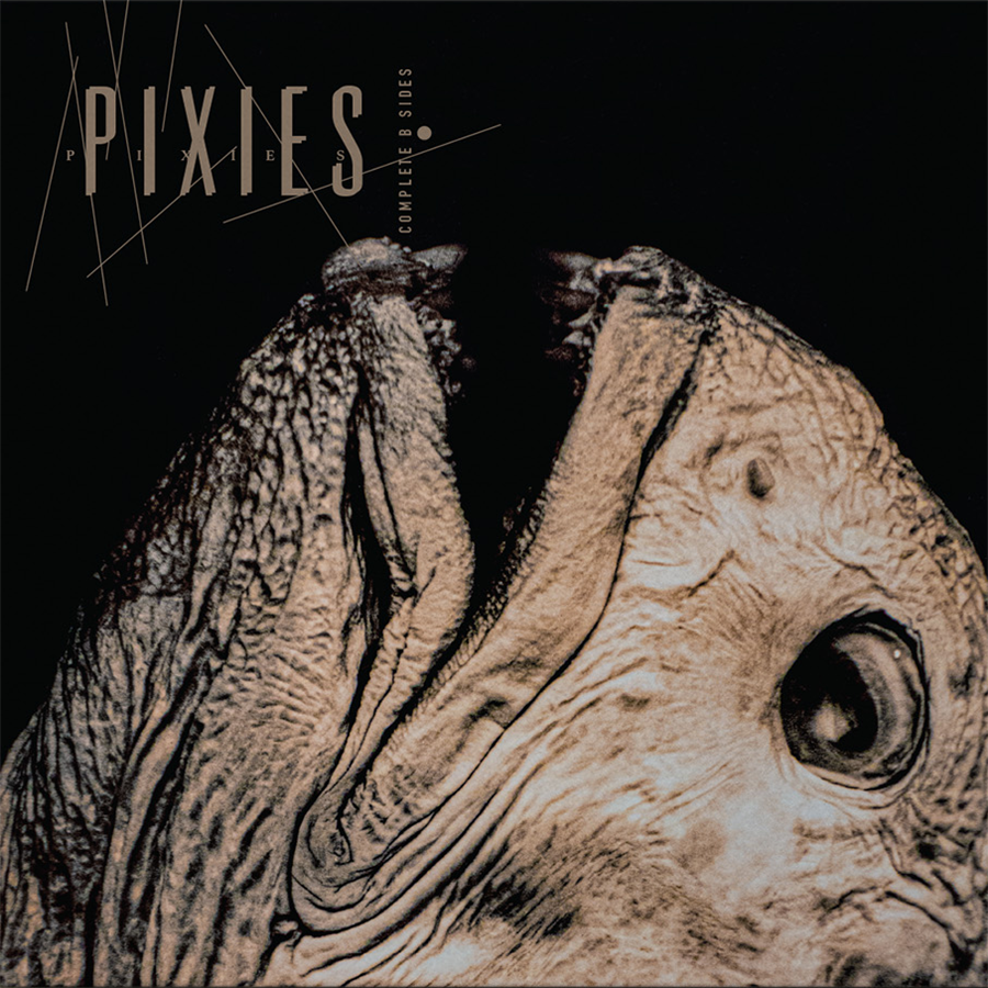 PIXIES ‘COMPLETE B SIDES: 1988-97’ 2LP (Black Vinyl)