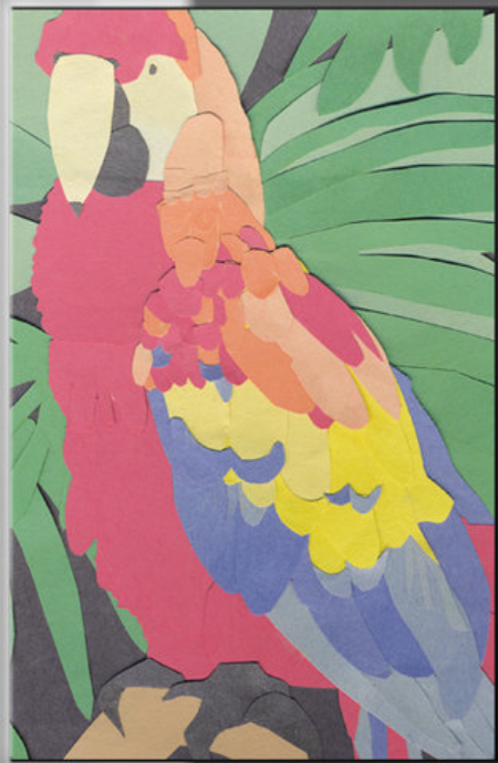 ALGERNON CADWALLADER 'PARROT FLIES' CASSETTE