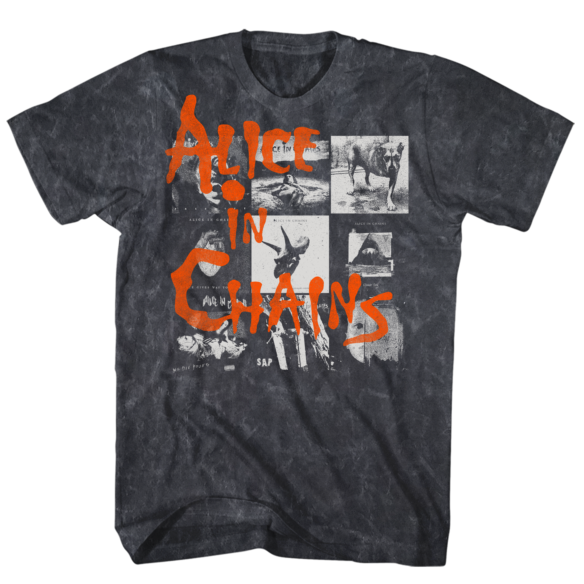 ALICE IN CHAINS ALBUM COVERS BLACK MINERAL WASH T-SHIRT