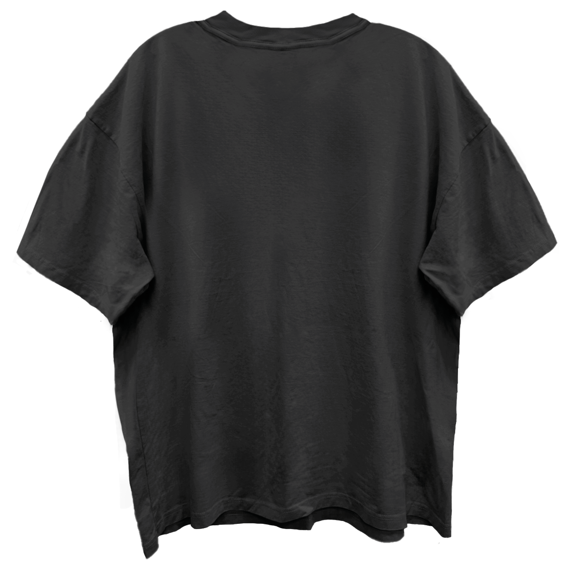 STONE TEMPLE PILOTS CORE ALBUM COVER VINTAGE BLACK ENZYME WASH T-SHIRT/GIANT VINTAGE