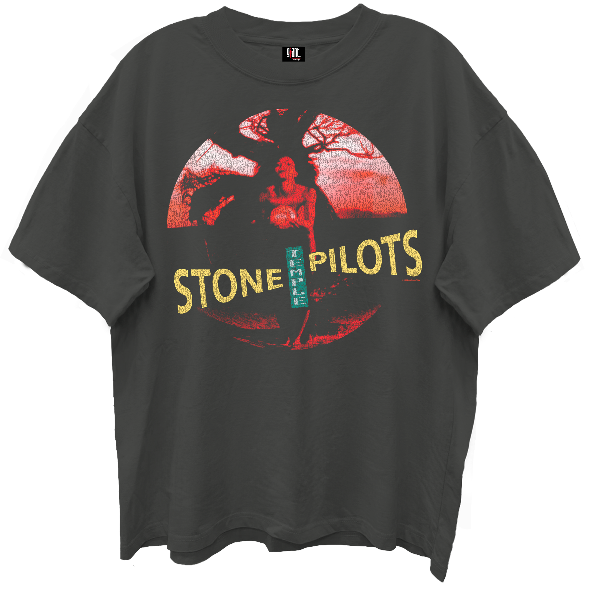 STONE TEMPLE PILOTS CORE ALBUM COVER VINTAGE BLACK ENZYME WASH T-SHIRT/GIANT VINTAGE