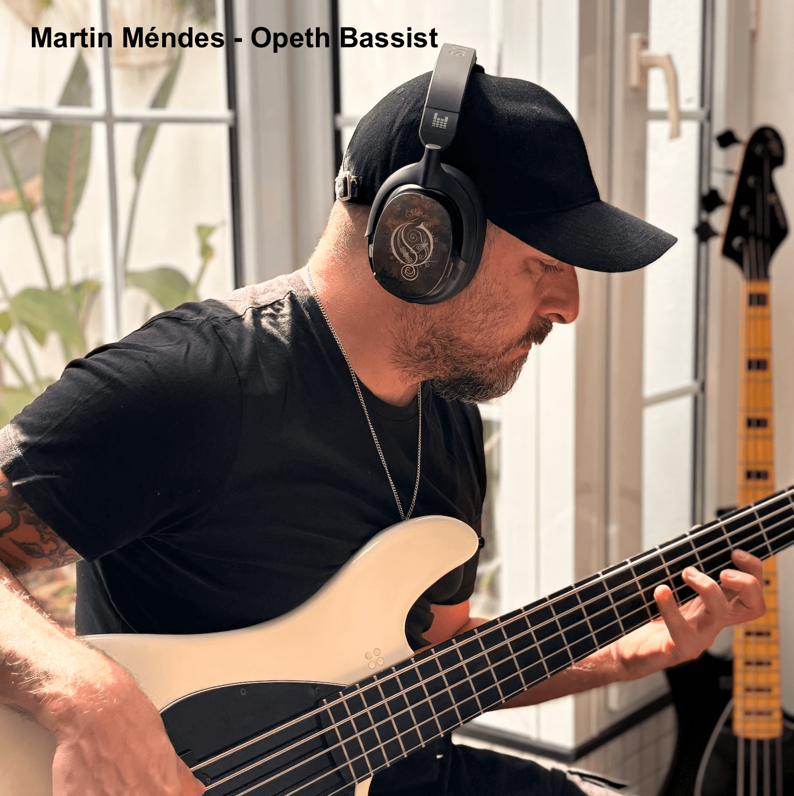 OPETH LIMITED EDITION SHELLS