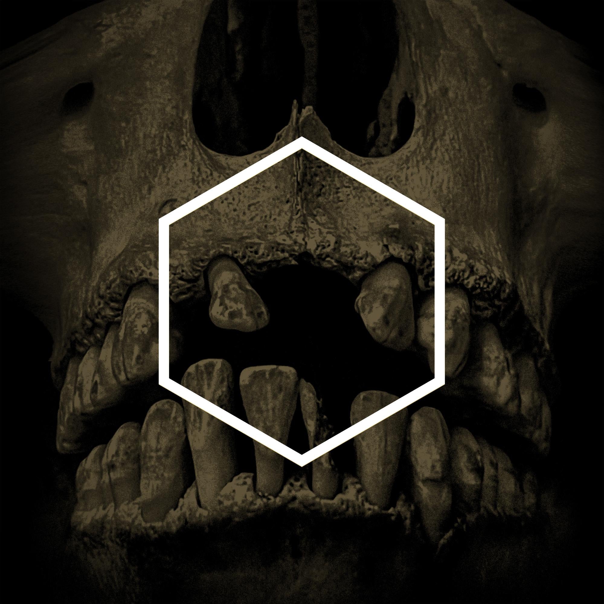 VARIOUS ARTISTS 'THE OTHERS' (LUSTMORD DECONSTRUCTED) 3LP